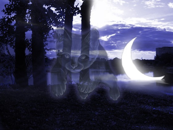 Photography: Пробы