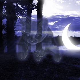 Photography: Пробы